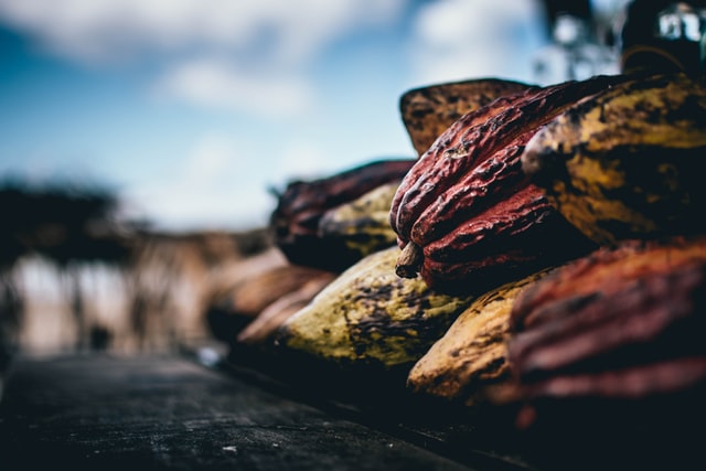 Know your ingredients - Cocoa Butter