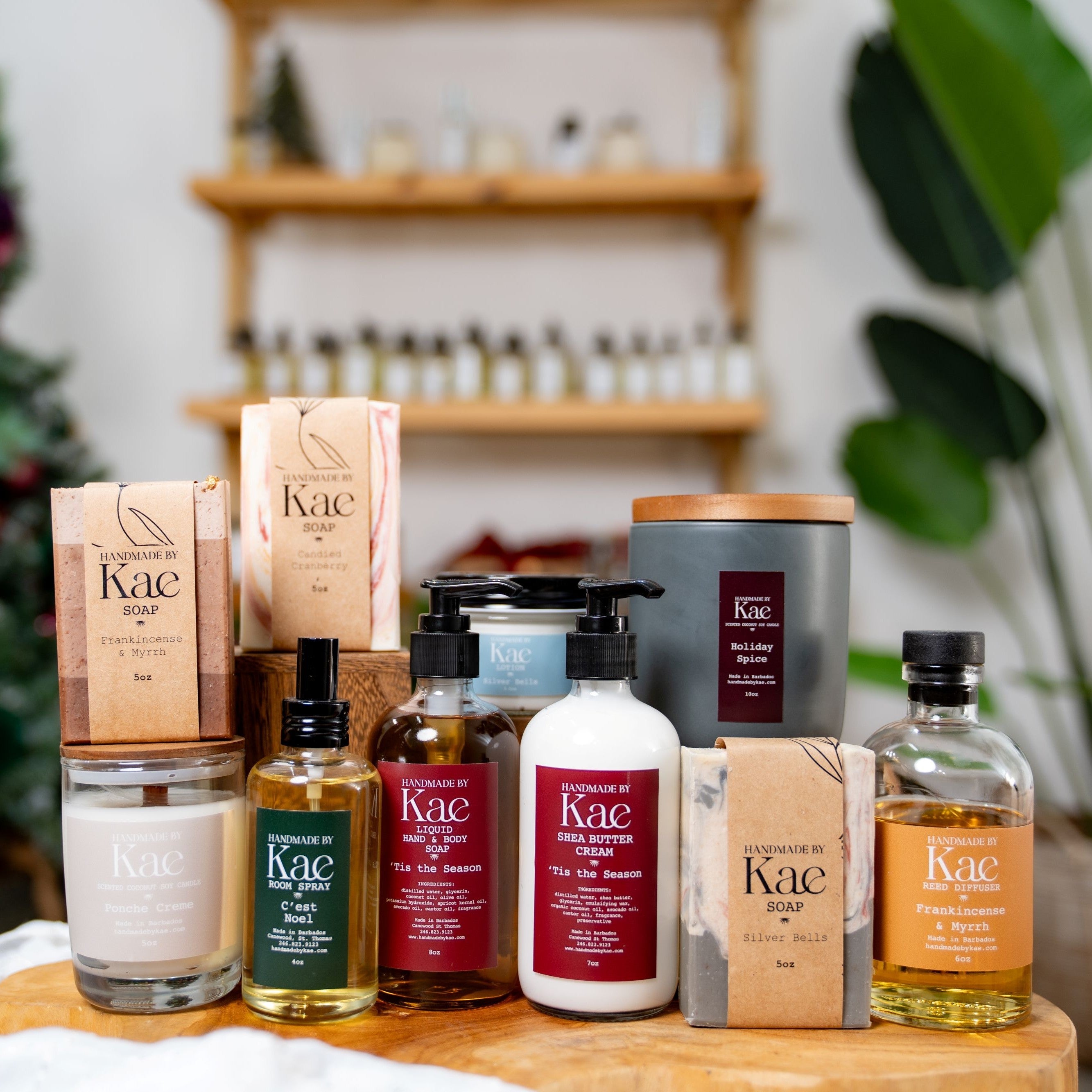 Holiday Spice & Everything Nice | Christmas Collection