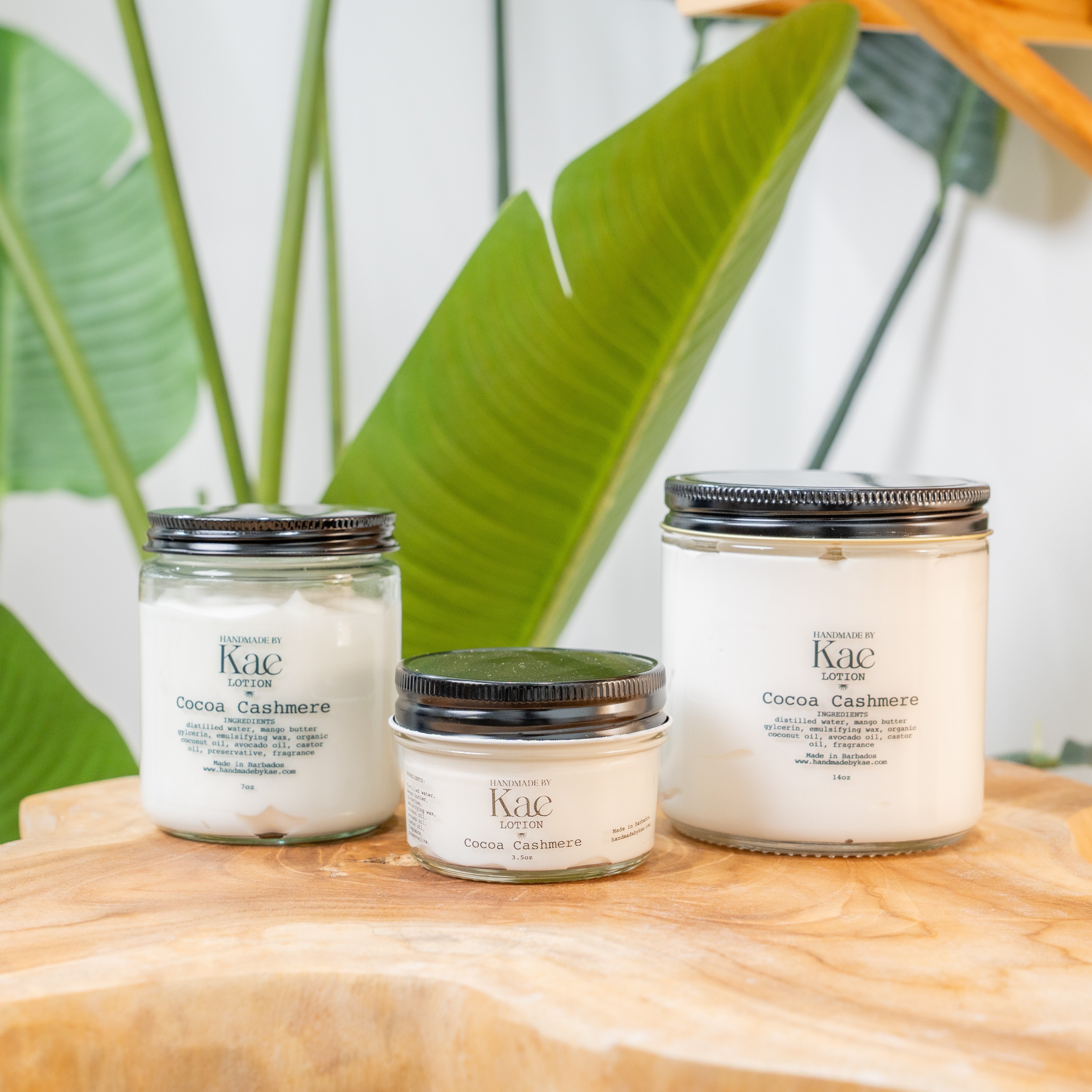 Cocoa Cashmere Lotion