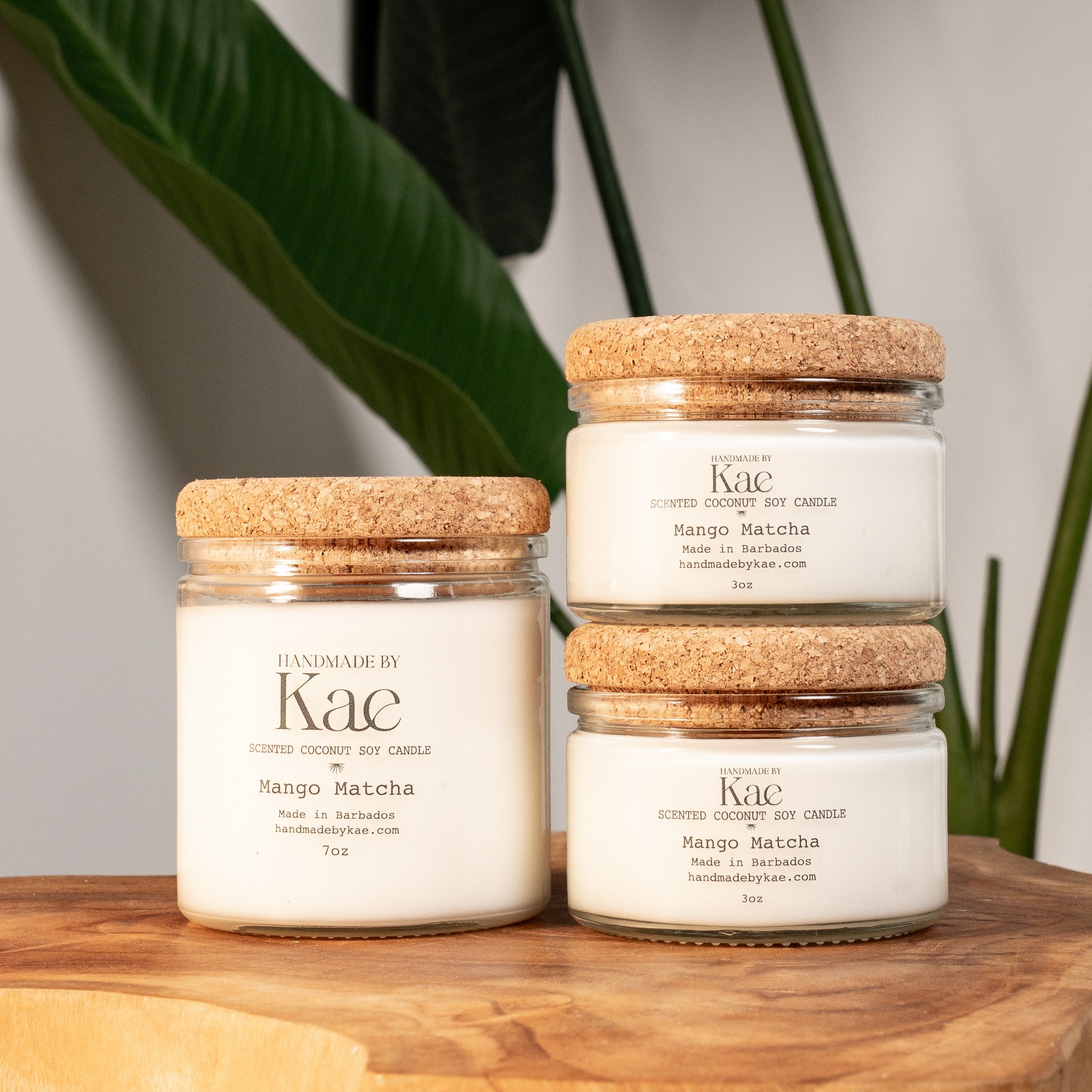 Mango Matcha Wooden Wick Candle