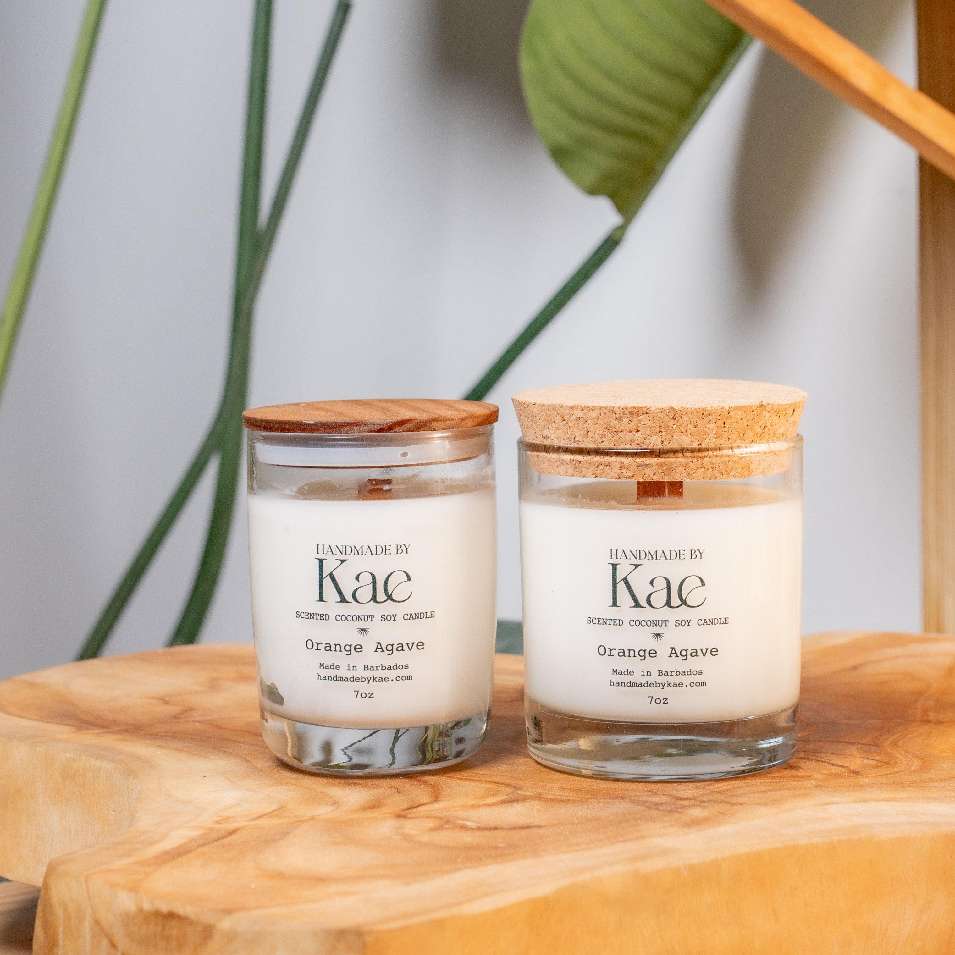 Orange Agave Wooden Wick Candle – Handmade by Kae