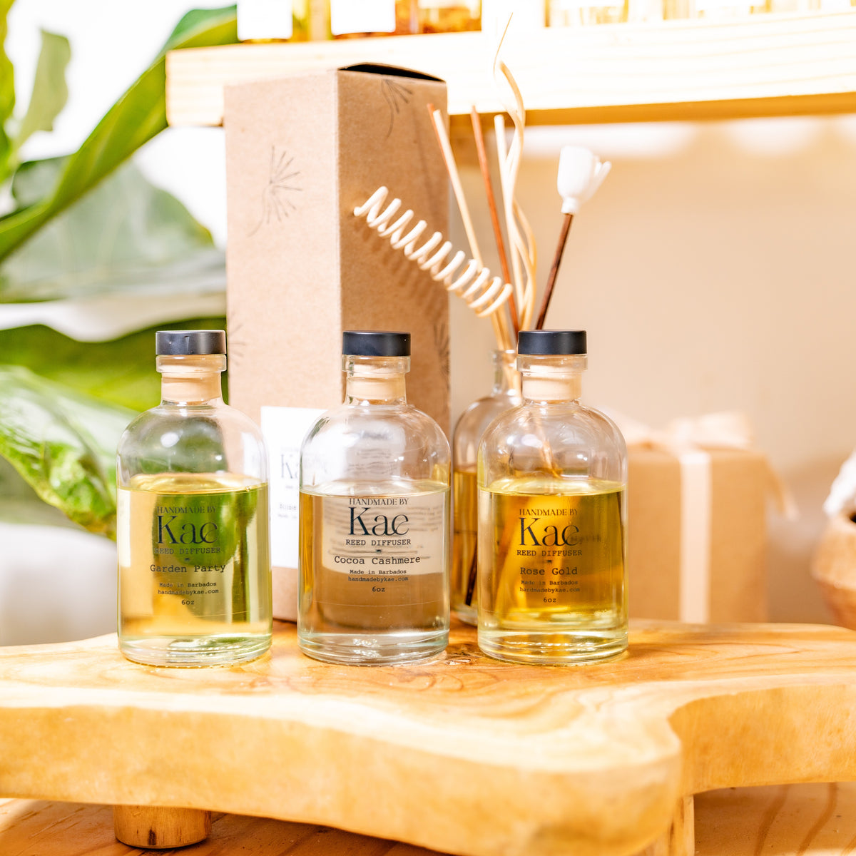 Kare Reed Diffuser Reed Diffuser – Handmade by Kae
